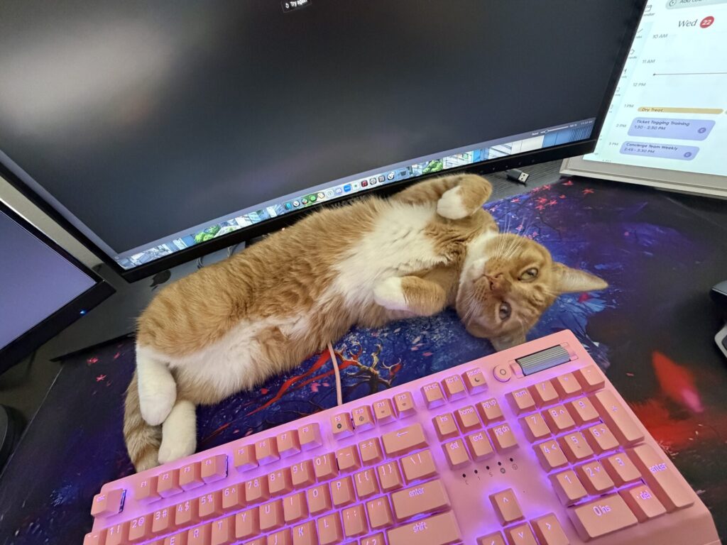 An orange tabby cat is stretched out across a computer keyboard and the edge of a computer monitor. The cat is positioned diagonally across the setup, with its head resting near the monitor and its body extending over the keyboard. The keyboard is purple and backlit with bright purple lighting. The monitor displays a dark-colored desktop with several windows open; the visible text reads “Wed” and "Check Bugging Process." The cat's paws are visible on the keyboard, and its eyes are open. The background appears to be a dark-colored desk mat with a blue and red pattern.