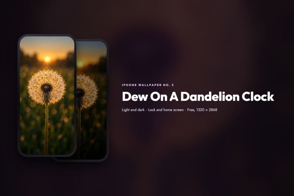 Dew On A Dandelion Clock, share card