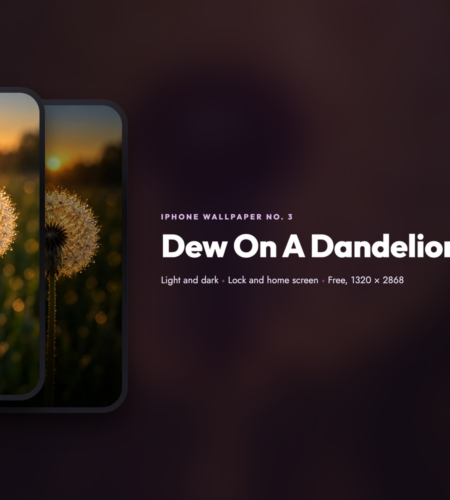 iPhone Wallpaper No. 3: Dew On A Dandelion Clock