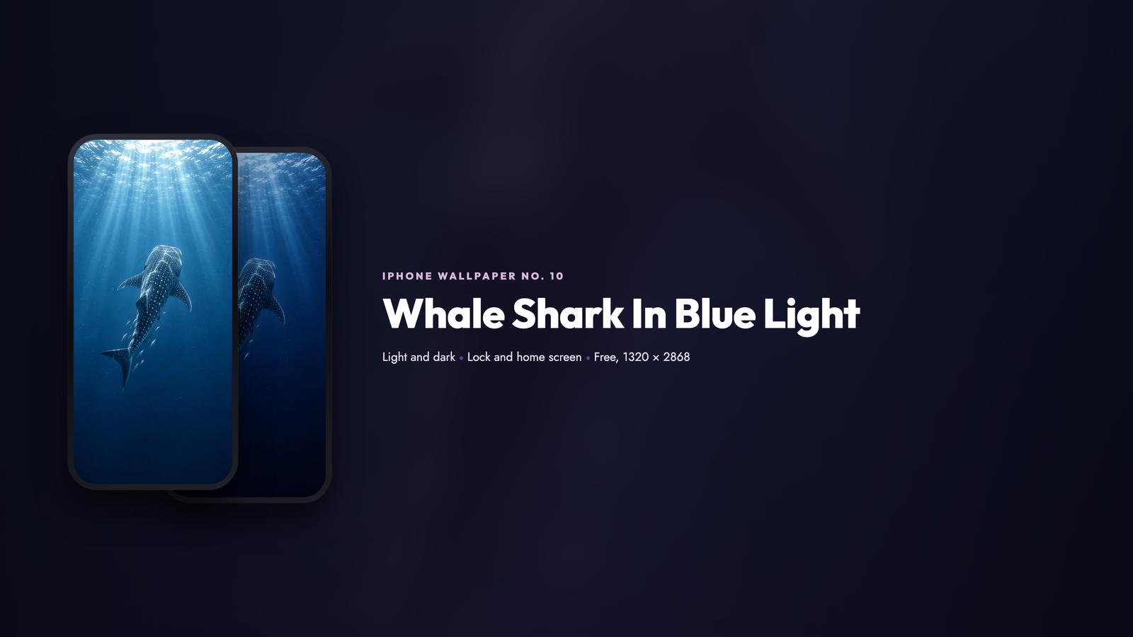 The light and night versions of one wallpaper scene side by side