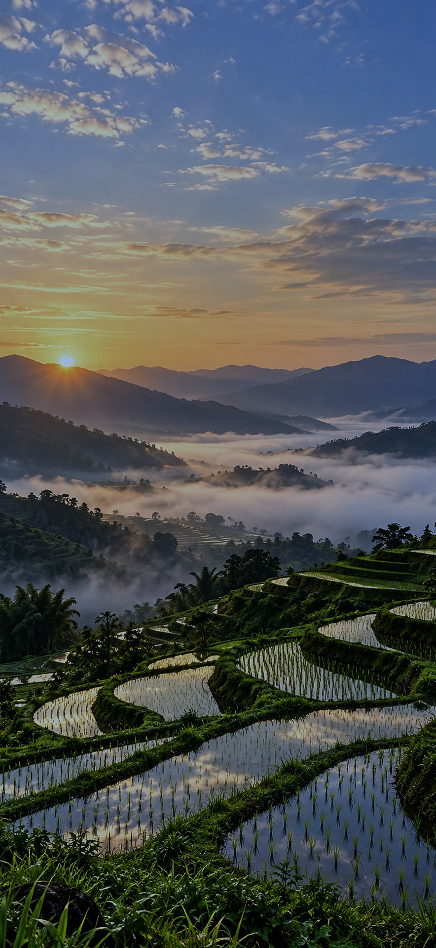 Terraced rice terraces under a full moon, dark version