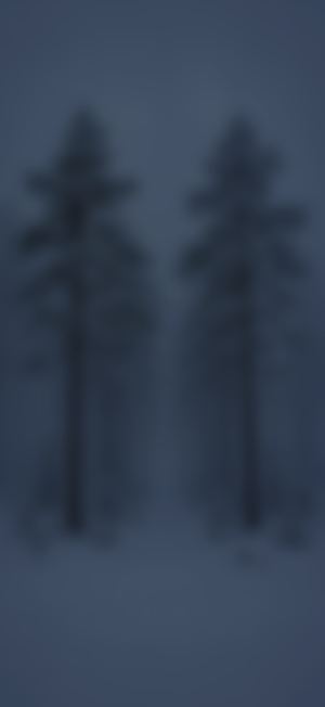 Frost Fog In A Pine Forest, dark home screen