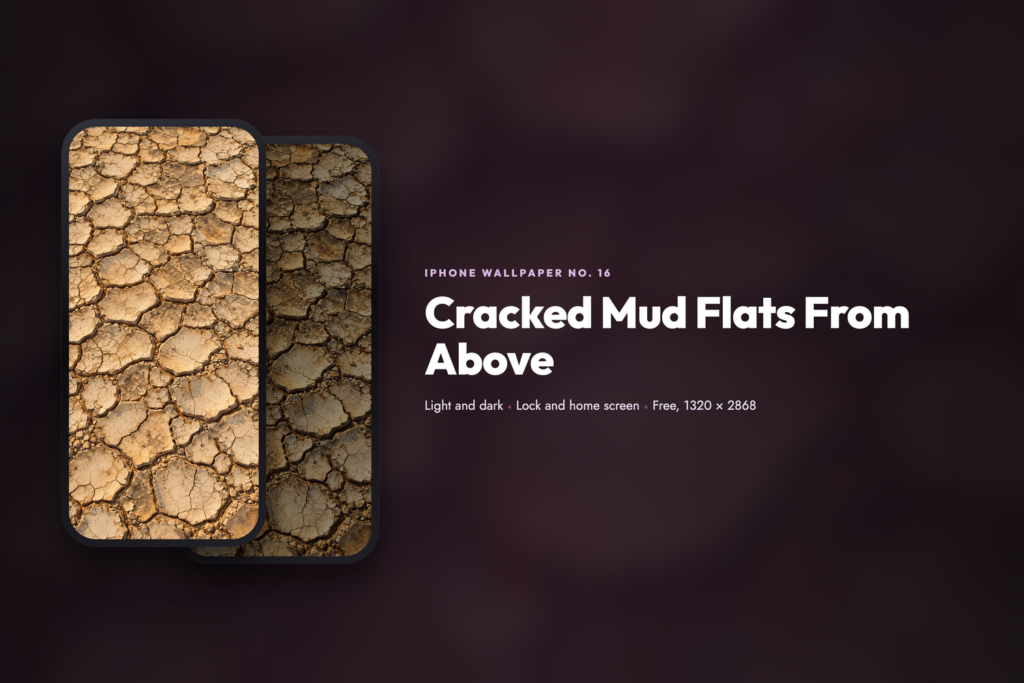 Cracked Mud Flats From Above, share card