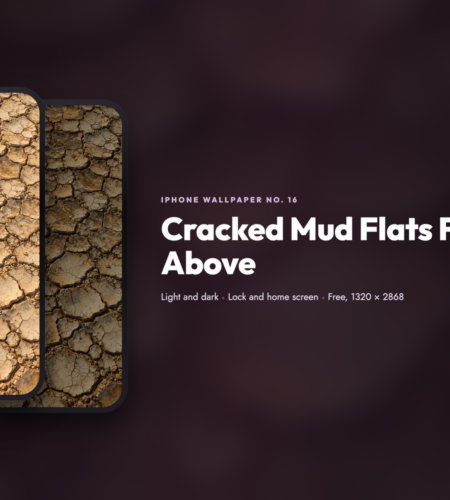 iPhone Wallpaper No. 16: Cracked Mud Flats From Above