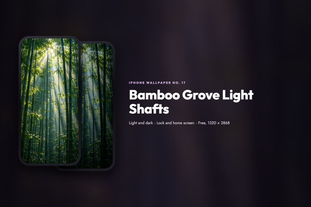 Bamboo Grove Light Shafts, share card