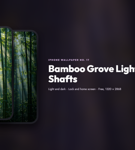 iPhone Wallpaper No. 17: Bamboo Grove Light Shafts
