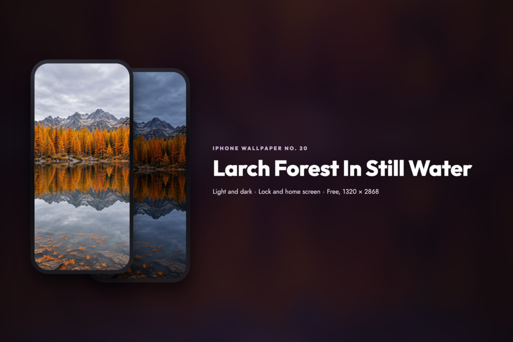 Larch Forest In Still Water, share card