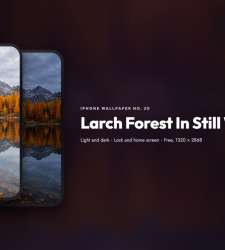 iPhone Wallpaper No. 20: Larch Forest In Still Water