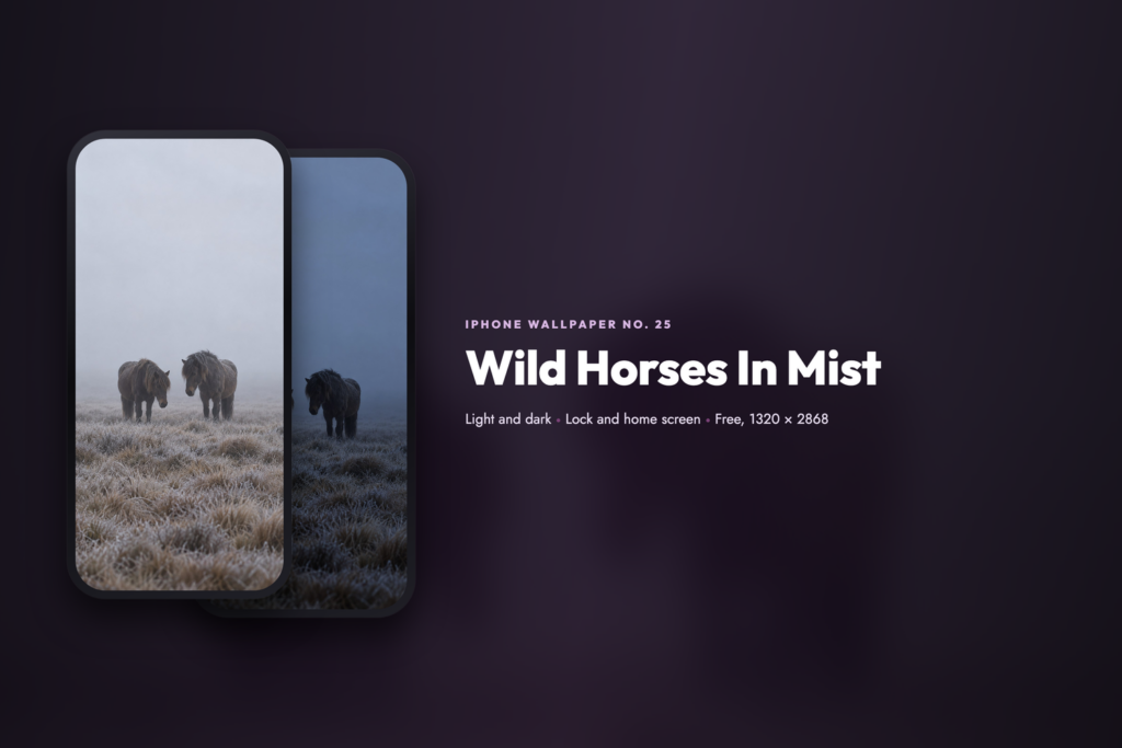 Wild Horses In Mist, share card