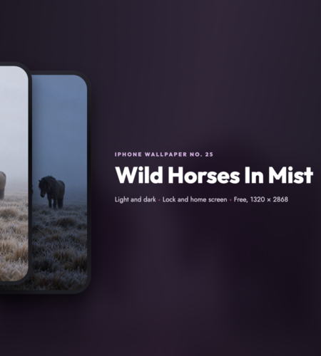 iPhone Wallpaper No. 25: Wild Horses In Mist