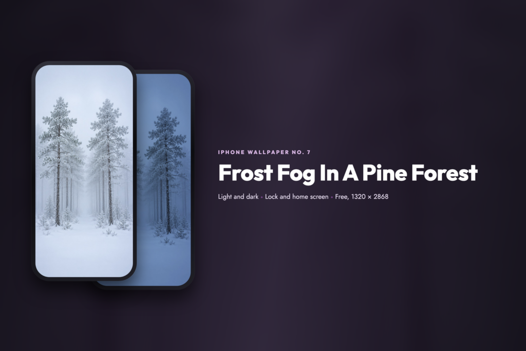 Frost Fog In A Pine Forest, share card