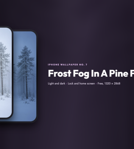 iPhone Wallpaper No. 7: Frost Fog In A Pine Forest