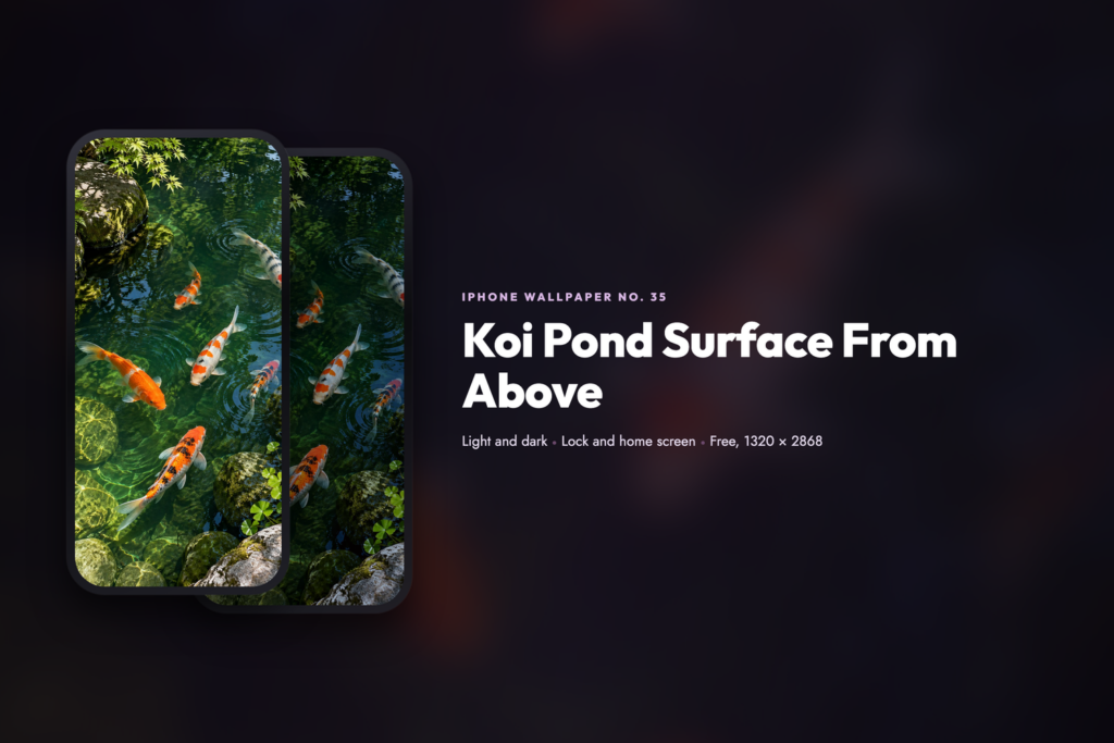 Koi Pond Surface From Above, share card