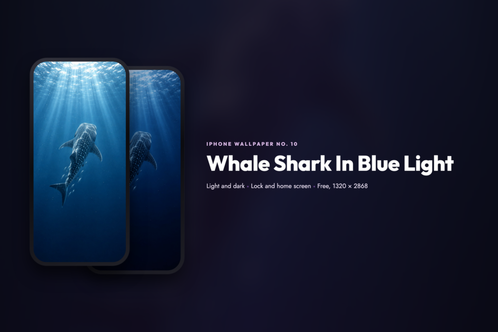 Whale Shark In Blue Light, share card