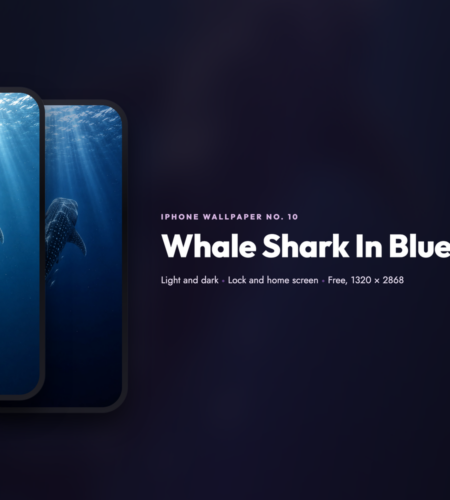 iPhone Wallpaper No. 10: Whale Shark In Blue Light