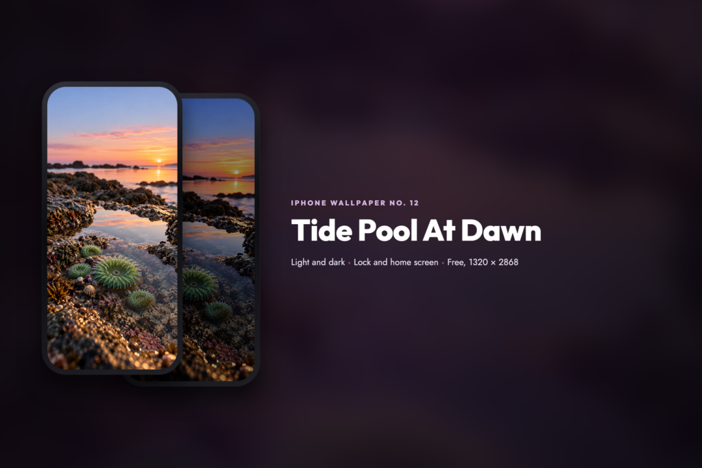 Tide Pool At Dawn, share card