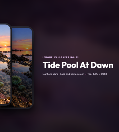 iPhone Wallpaper No. 12: Tide Pool At Dawn